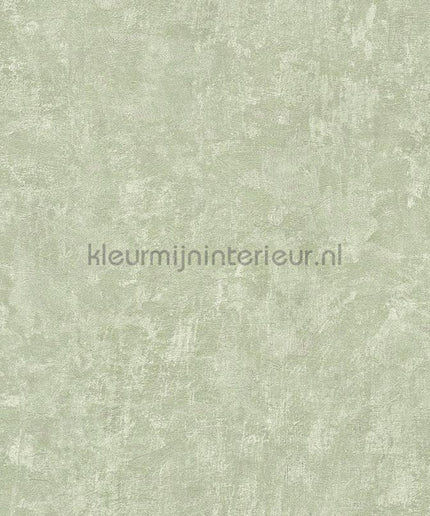 AS Creation Natural Living 38639-2 | Bestellen bij https://www.kleurmijninterieur.nl/
