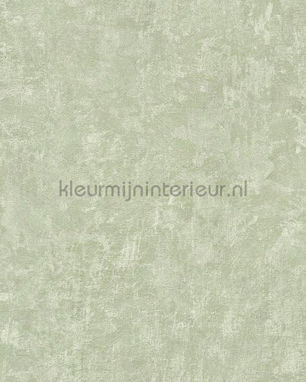 AS Creation Natural Living 38639-2 | Bestellen bij https://www.kleurmijninterieur.nl/