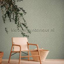 AS Creation Natural Living 38639-2 | Bestellen bij https://www.kleurmijninterieur.nl/