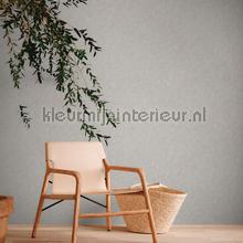 AS Creation Natural Living 38639-3 | Bestellen bij https://www.kleurmijninterieur.nl/