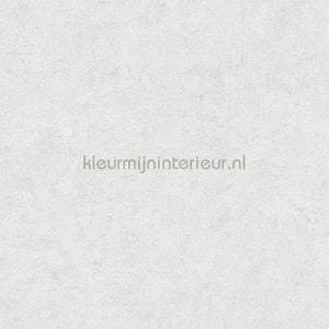 AS Creation Natural Living 38639-4 | Bestellen bij https://www.kleurmijninterieur.nl/
