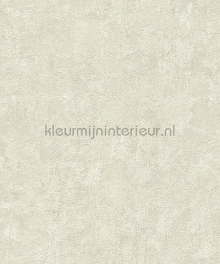 AS Creation Natural Living 38639-6 | Bestellen bij https://www.kleurmijninterieur.nl/