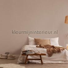 AS Creation Natural Living 38666-2 | Bestellen bij https://www.kleurmijninterieur.nl/