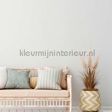 AS Creation Natural Living 38666-3 | Bestellen bij https://www.kleurmijninterieur.nl/