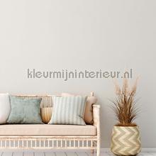 AS Creation Natural Living 38666-4 | Bestellen bij https://www.kleurmijninterieur.nl/