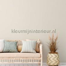 AS Creation Natural Living 38666-5 | Bestellen bij https://www.kleurmijninterieur.nl/