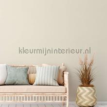 AS Creation Natural Living 38666-6 | Bestellen bij https://www.kleurmijninterieur.nl/