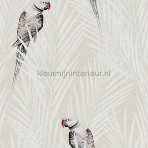 Khroma Cabinet of Curiosities CAB702 | Bestellen bij https://www.kleurmijninterieur.nl/