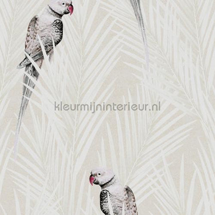 Khroma Cabinet of Curiosities CAB702 | Bestellen bij https://www.kleurmijninterieur.nl/