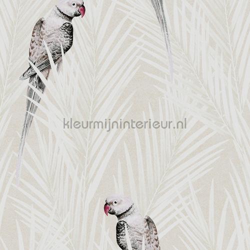 Khroma Cabinet of Curiosities CAB702 | Bestellen bij https://www.kleurmijninterieur.nl/