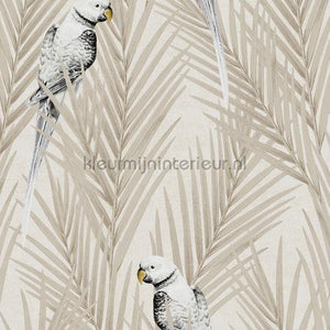 Khroma Cabinet of Curiosities CAB701 | Bestellen bij https://www.kleurmijninterieur.nl/