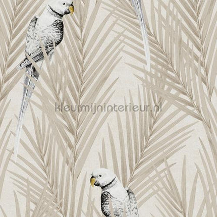 Khroma Cabinet of Curiosities CAB701 | Bestellen bij https://www.kleurmijninterieur.nl/