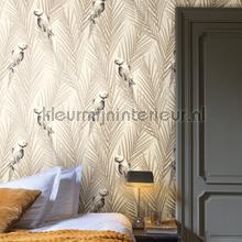 Khroma Cabinet of Curiosities CAB701 | Bestellen bij https://www.kleurmijninterieur.nl/