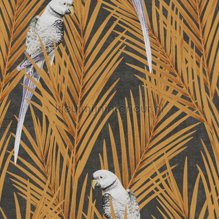 Khroma Cabinet of Curiosities CAB704 | Bestellen bij https://www.kleurmijninterieur.nl/