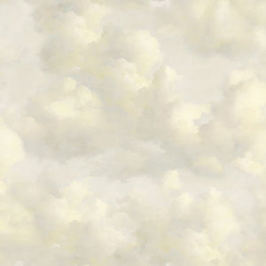 351282 Eijffinger Magnifique Cumulius Afterglow - Dit behang is zacht en luchtig met een mix van beige