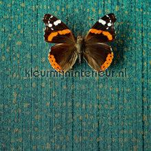 Eijffinger Masterpiece 358061 | Bestellen bij https://www.kleurmijninterieur.nl/