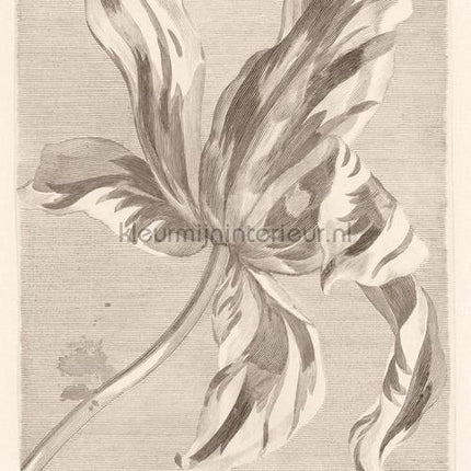 Eijffinger Masterpiece 358117 | Bestellen bij https://www.kleurmijninterieur.nl/
