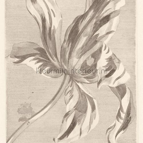 Eijffinger Masterpiece 358117 | Bestellen bij https://www.kleurmijninterieur.nl/