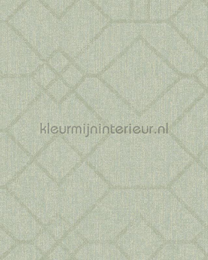 Eijffinger Embrace 324013 | Bestellen bij https://www.kleurmijninterieur.nl/