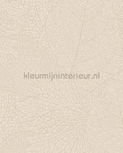 Eijffinger Embrace 324040 | Bestellen bij https://www.kleurmijninterieur.nl/