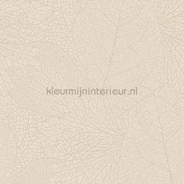 Eijffinger Embrace 324040 | Bestellen bij https://www.kleurmijninterieur.nl/