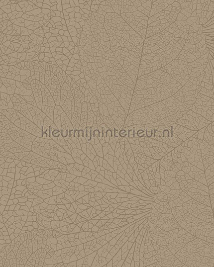 Eijffinger Embrace 324041 | Bestellen bij https://www.kleurmijninterieur.nl/