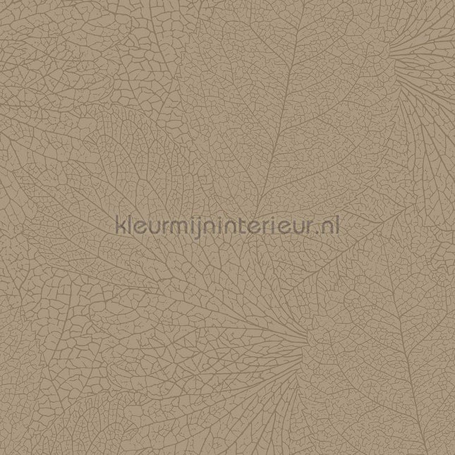 Eijffinger Embrace 324041 | Bestellen bij https://www.kleurmijninterieur.nl/