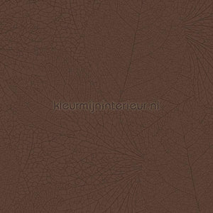 Eijffinger Embrace 324042 | Bestellen bij https://www.kleurmijninterieur.nl/