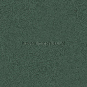 Eijffinger Embrace 324044 | Bestellen bij https://www.kleurmijninterieur.nl/