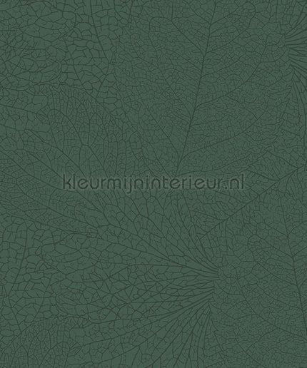 Eijffinger Embrace 324044 | Bestellen bij https://www.kleurmijninterieur.nl/