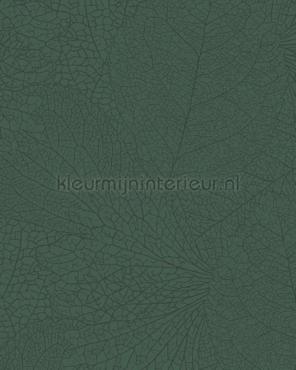 Eijffinger Embrace 324044 | Bestellen bij https://www.kleurmijninterieur.nl/