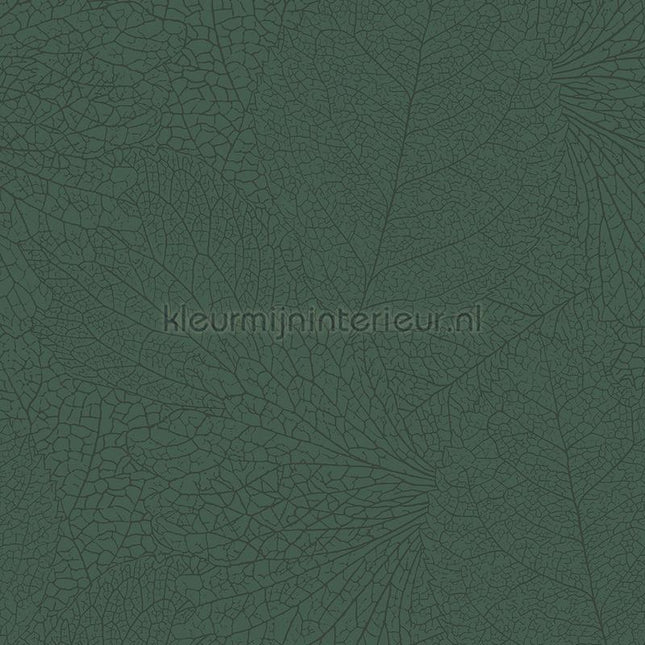 Eijffinger Embrace 324044 | Bestellen bij https://www.kleurmijninterieur.nl/