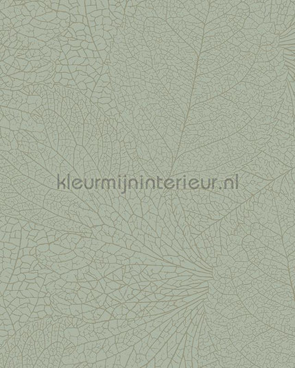 Eijffinger Embrace 324045 | Bestellen bij https://www.kleurmijninterieur.nl/