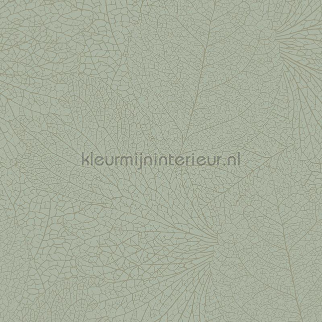 Eijffinger Embrace 324045 | Bestellen bij https://www.kleurmijninterieur.nl/