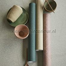 Eijffinger Embrace 324045 | Bestellen bij https://www.kleurmijninterieur.nl/