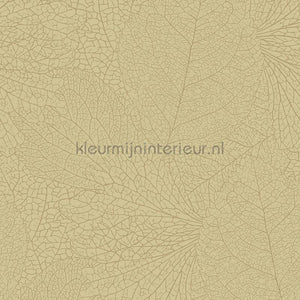 Eijffinger Embrace 324046 | Bestellen bij https://www.kleurmijninterieur.nl/