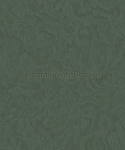 Eijffinger Embrace 324055 | Bestellen bij https://www.kleurmijninterieur.nl/