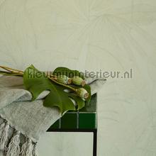 Eijffinger Festival 333514 | Bestellen bij https://www.kleurmijninterieur.nl/