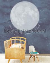Eijffinger Mini Me 399119 | Bestellen bij https://www.kleurmijninterieur.nl/