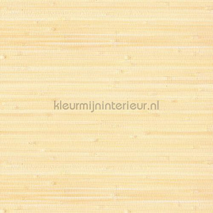 Eijffinger Natural Wallcoverings III 303536 | Bestellen bij https://www.kleurmijninterieur.nl/
