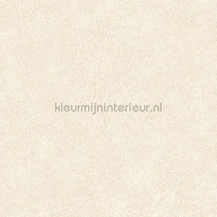 Eijffinger Skin 300510 | Bestellen bij https://www.kleurmijninterieur.nl/