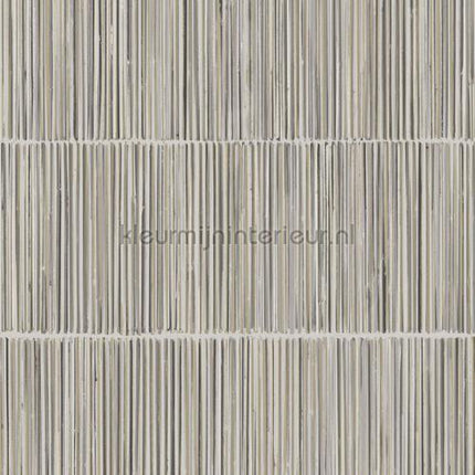Eijffinger Terra 391512 | Bestellen bij https://www.kleurmijninterieur.nl/