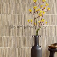 Eijffinger Terra 391513 | Bestellen bij https://www.kleurmijninterieur.nl/