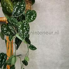 Eijffinger Unify 333235 | Bestellen bij https://www.kleurmijninterieur.nl/