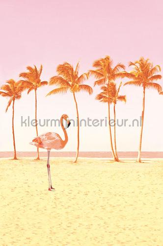 Eijffinger Wallpower Junior 364146 | Bestellen bij https://www.kleurmijninterieur.nl/