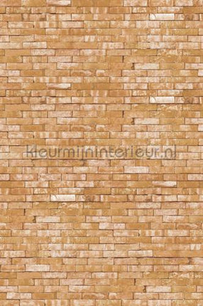 Eijffinger Wallpower Junior 364190 | Bestellen bij https://www.kleurmijninterieur.nl/