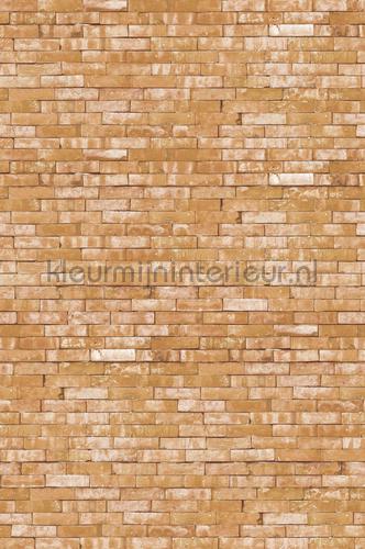 Eijffinger Wallpower Junior 364190 | Bestellen bij https://www.kleurmijninterieur.nl/