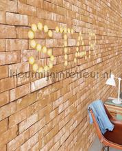 Eijffinger Wallpower Junior 364190 | Bestellen bij https://www.kleurmijninterieur.nl/