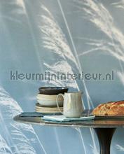 Eijffinger Waterfront 300902 | Bestellen bij https://www.kleurmijninterieur.nl/