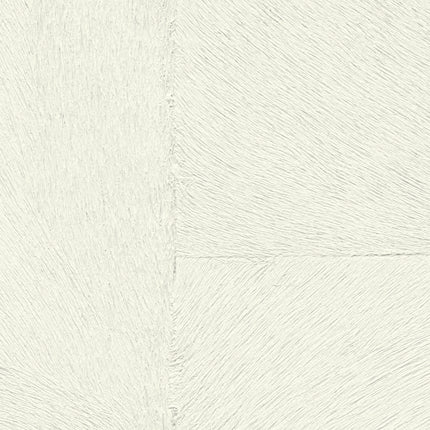 Collection image for: Appaloosa HPC